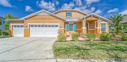 5414 Hammock View Lane, Apollo Beach