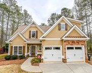 532 LACEBARK, Athens image