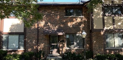 1S255 Michigan Avenue, Villa Park
