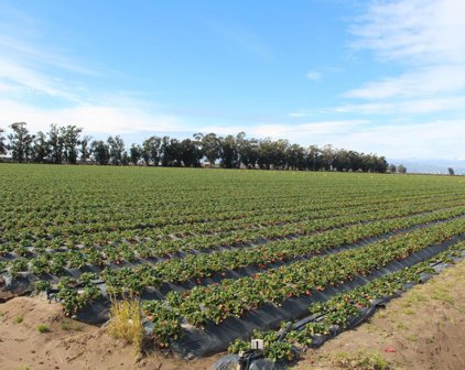 Etting Road, Oxnard