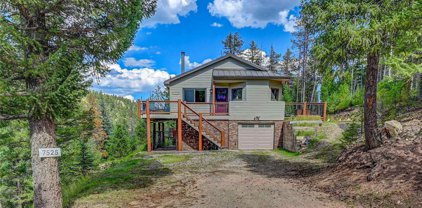 7525 Brook Forest Lane, Evergreen