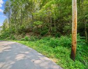 FOREST TRAIL DR, Sevierville image