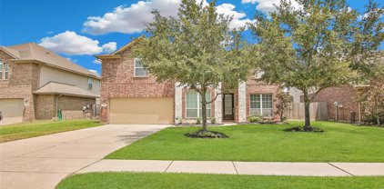 17306 Elverson Oaks Drive, Tomball