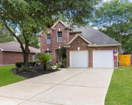 10 E Misty Dawn Drive, The Woodlands