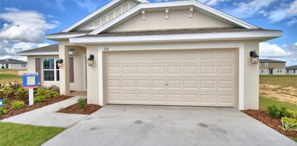 1184 Citrus Landings Boulevard, Davenport