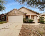 19006 Kenswick Cove Drive, Tomball image