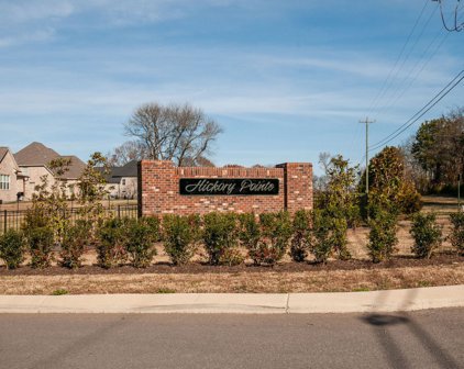 210 Kortney Marie Pl, Mount Juliet