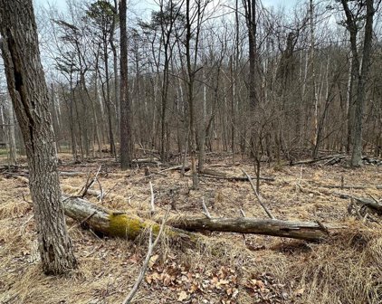 Iroquois Trail, Berkeley Springs