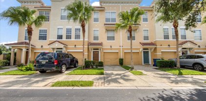 3106 Bayshore Oaks Drive, Tampa