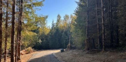 Misty Hill Road Unit #Lot 1, Toutle