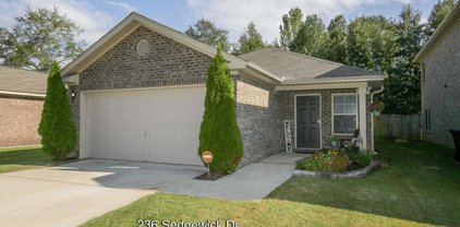 236 Sedgewick Drive, Owens Cross Roads