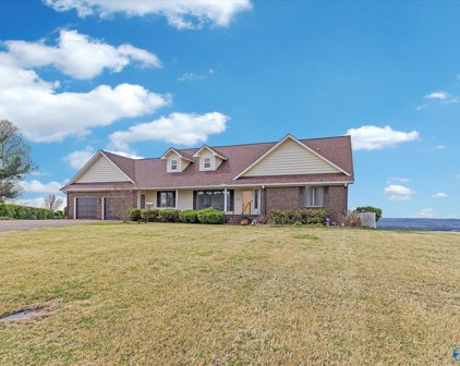 77 Scenic Bluff Drive, Guntersville