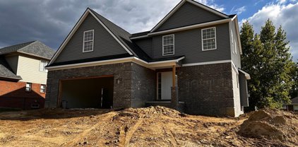 712 PINECREEK, Fenton