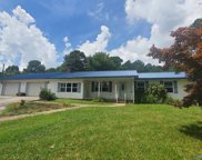 620 Lookout Terrace, Fort Payne image