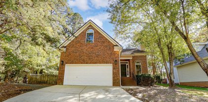 12128 Song Bird  Court, Tega Cay