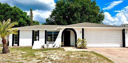 9020 Lunar Lane, Port Richey