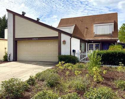 12825 Sandy Trail Lane, Hudson