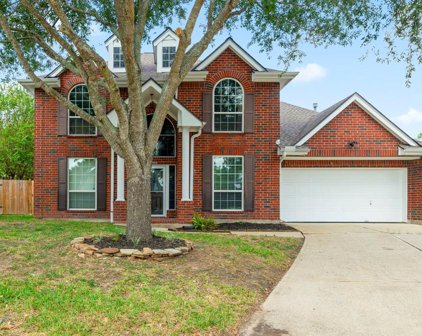 1505 Hickory Court, Pearland