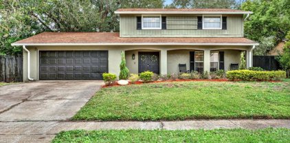 4019 Braesgate Lane, Tampa