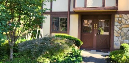 221 Foxwood Lane Unit 221, Milford