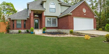 2518 E Blue Lake Drive, Magnolia