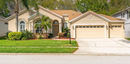 5114 Whispering Leaf Trail, Valrico