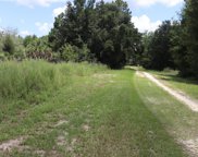 8615 N San Filippo Loop, Crystal River image