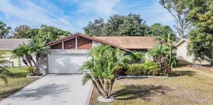 14510 Mecca Place, Tampa