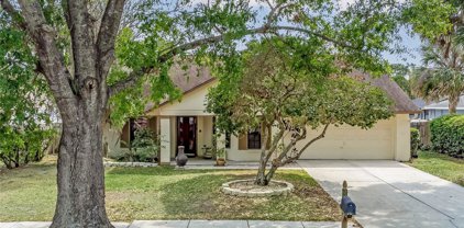 1016 Albamonte Court, Oviedo