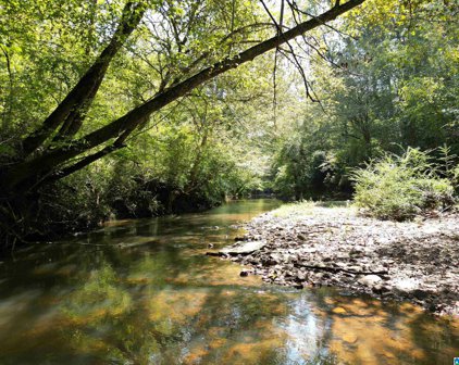 County Road 534 Unit 35 Acres, Woodland