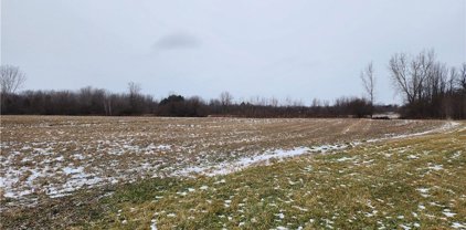 V/L Dale  Road, Newfane-292800