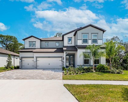13858 Sharp Hawk Drive, Riverview