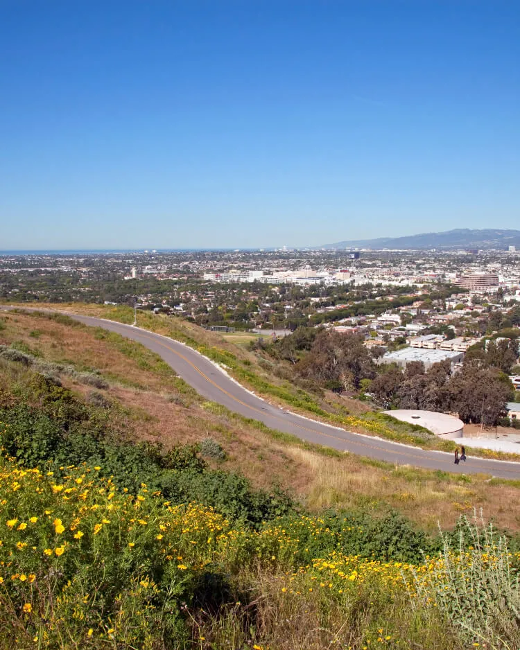 Culver City Real Estate