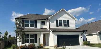 2390 Hagerman Road, Conroe