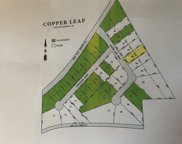 25261 W Copper Leaf Drive, Channahon image