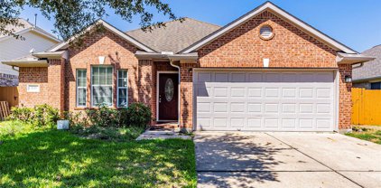 2728 Domenico Lane, League City