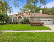 8705 Cypress Mill Court, Tampa image