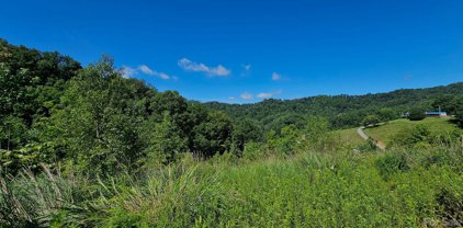310 E Bee Tree  Road, Marshall