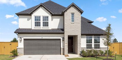1203 Raburn Run Lane, Tomball