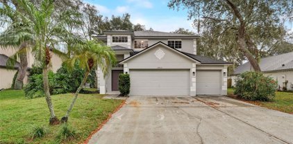 2453 Sweet Oak Street, Ocoee