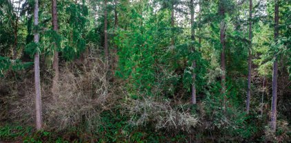 19706 199th Street E, Orting