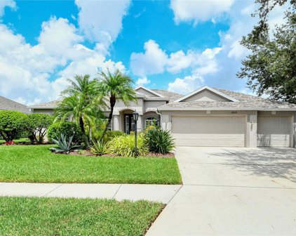 12115 Summer Meadow Drive, Lakewood Ranch