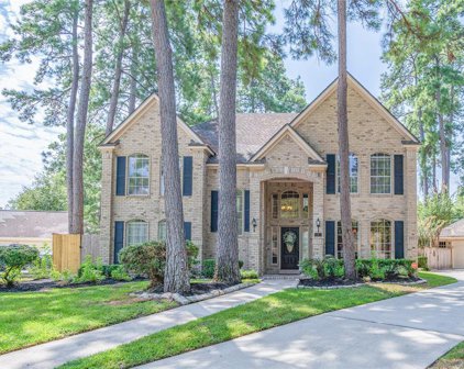 2 Thorncreek Court, The Woodlands