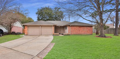 8323 Marble Arch Court, Humble