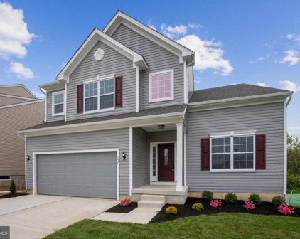 Piacenzia Ave, Vineland