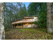 16703 NE FARGHER GARDEN CT, Amboy image