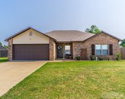 45 Whitetail, Ward image
