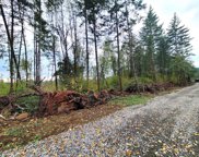 NE 122nd AVE, Battle Ground image