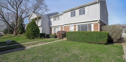 111 Somerset Lane, Bolingbrook