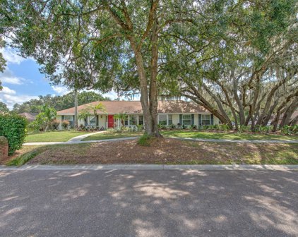 2511 Laurelwood Lane, Valrico